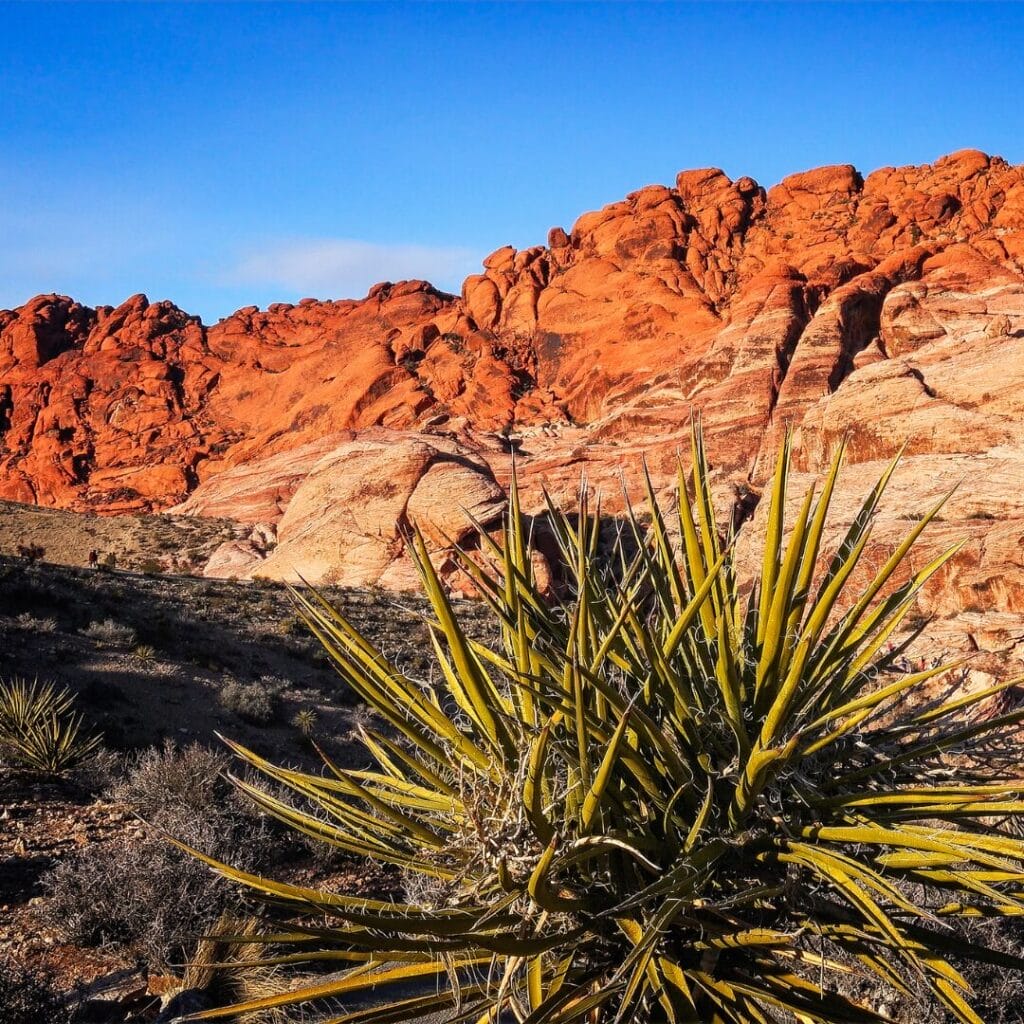 Red Rock Canyon